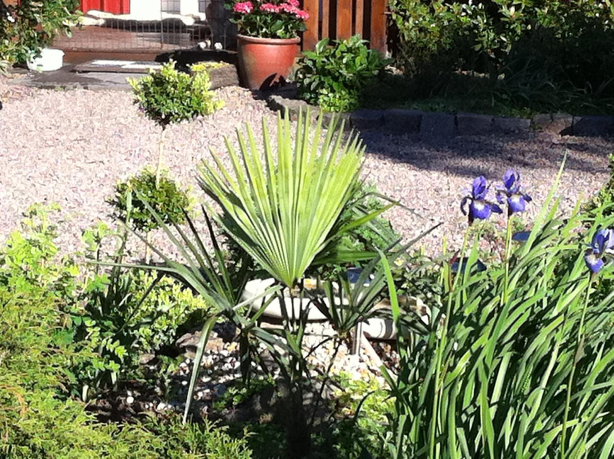 Mattisgarden Bed & Breakfast Östra Ljungby 외부 사진