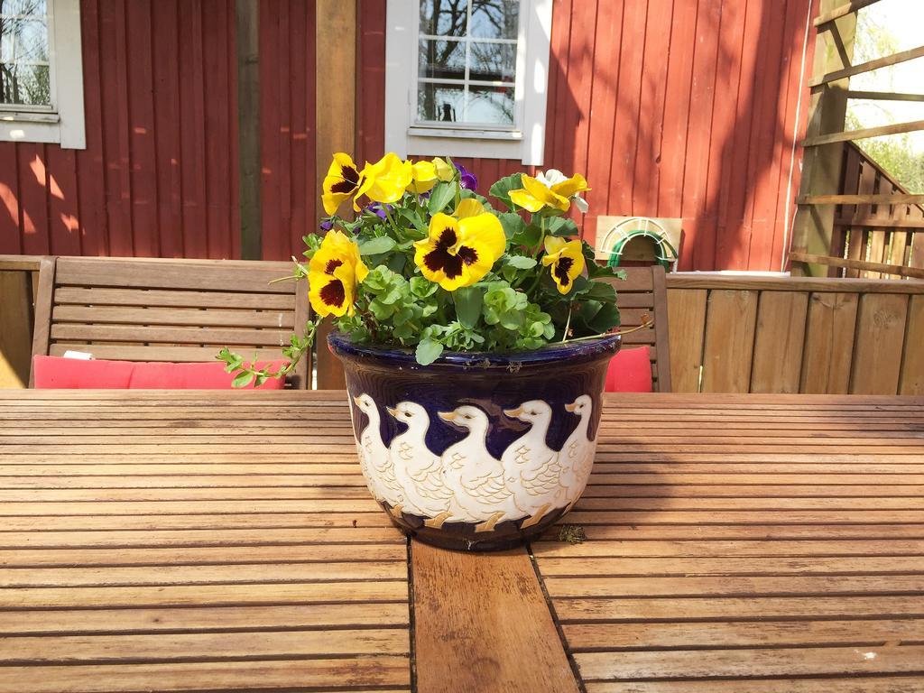 Mattisgarden Bed & Breakfast Östra Ljungby 외부 사진